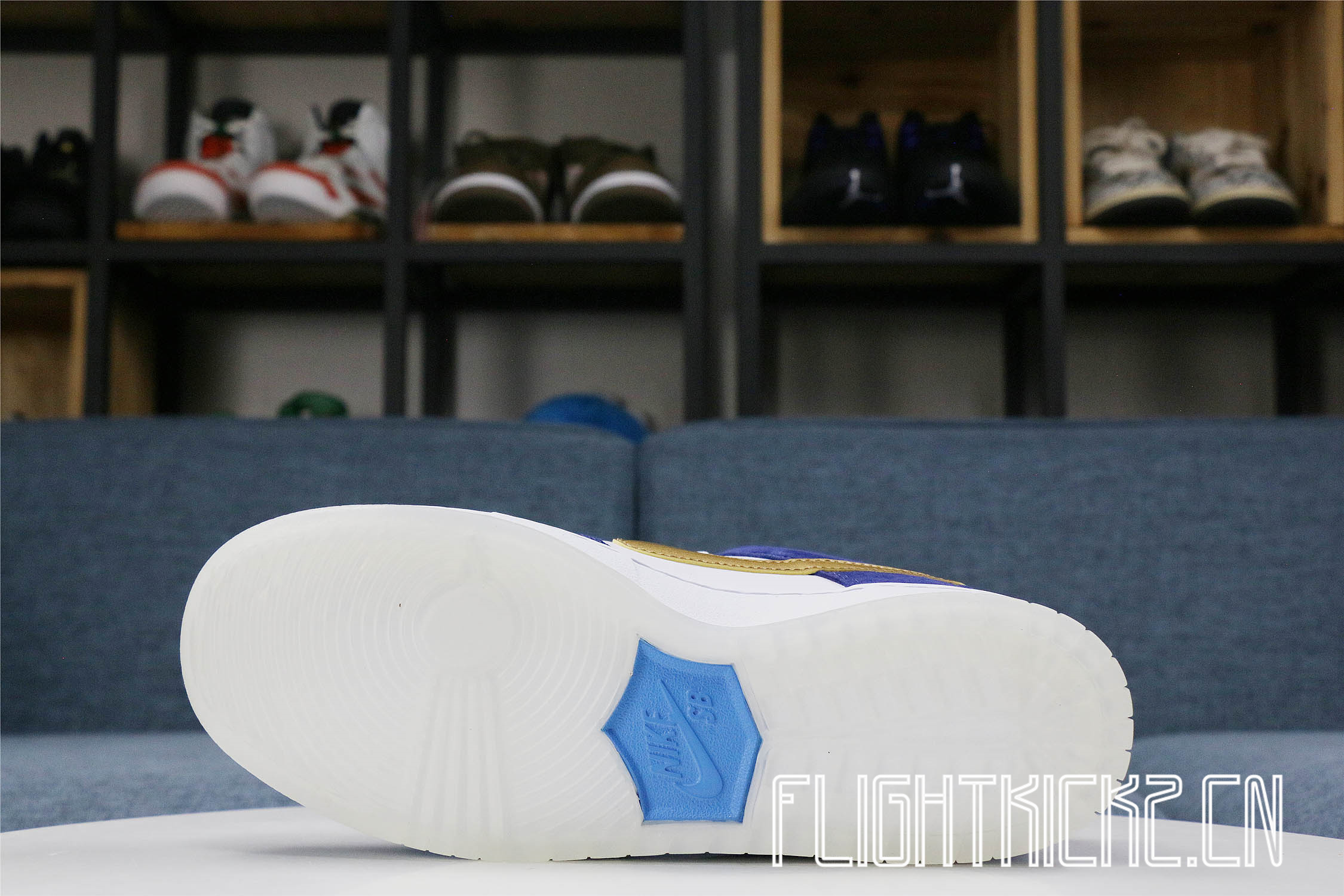 Nike Dunk SB Low Ishod Wair BMW