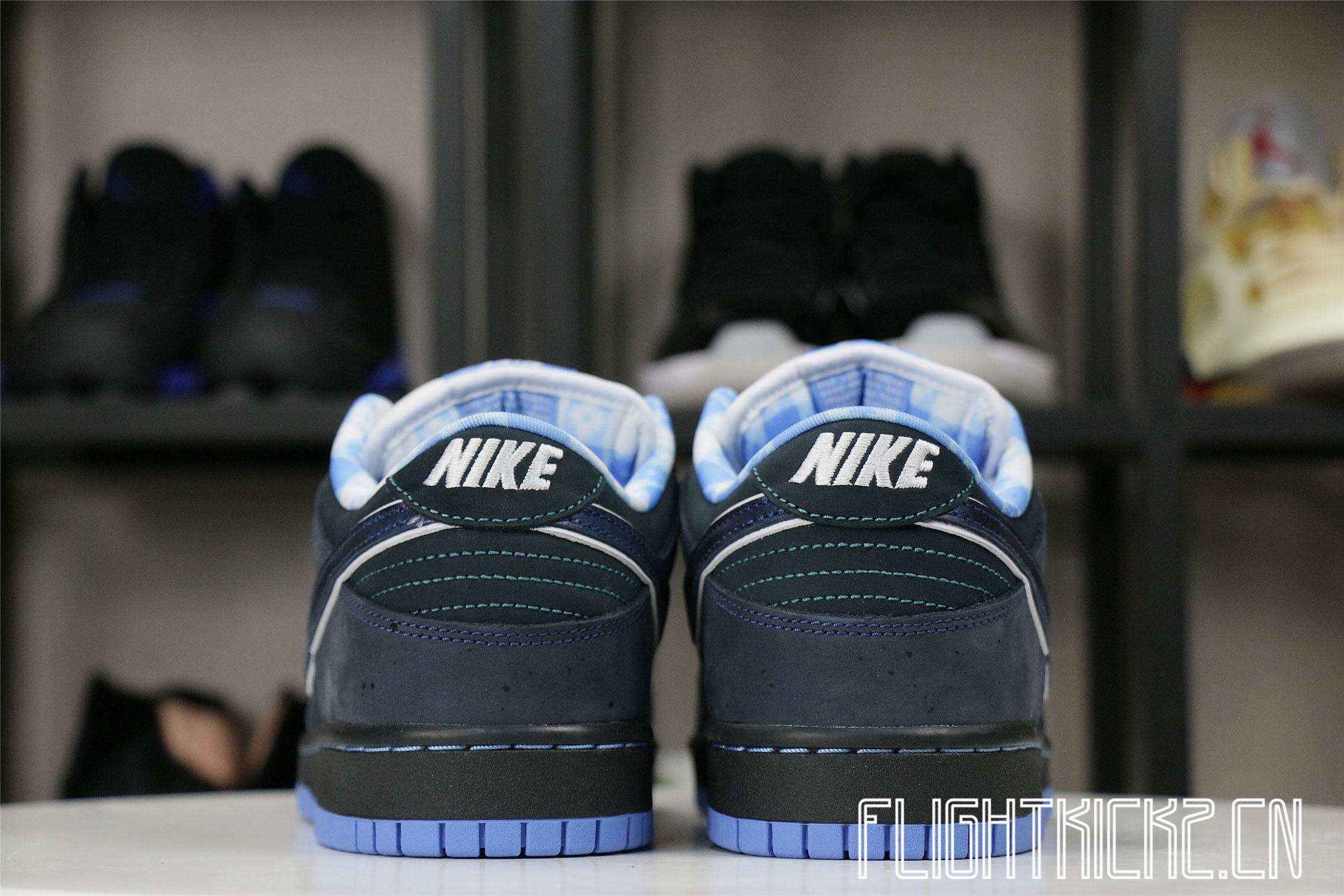 Nike Dunk SB Low Blue Lobster