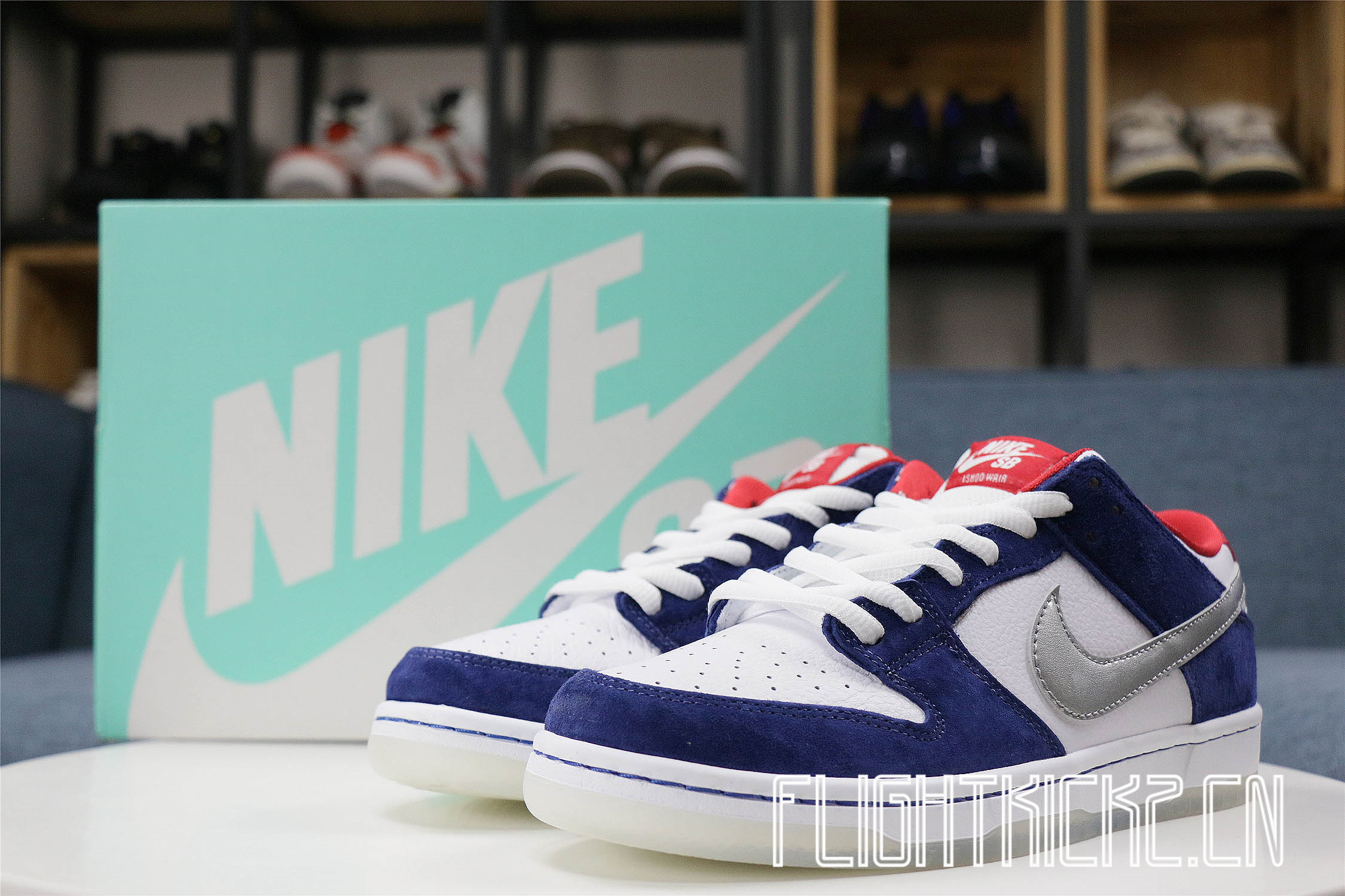 Nike Dunk SB Low Ishod Wair BMW