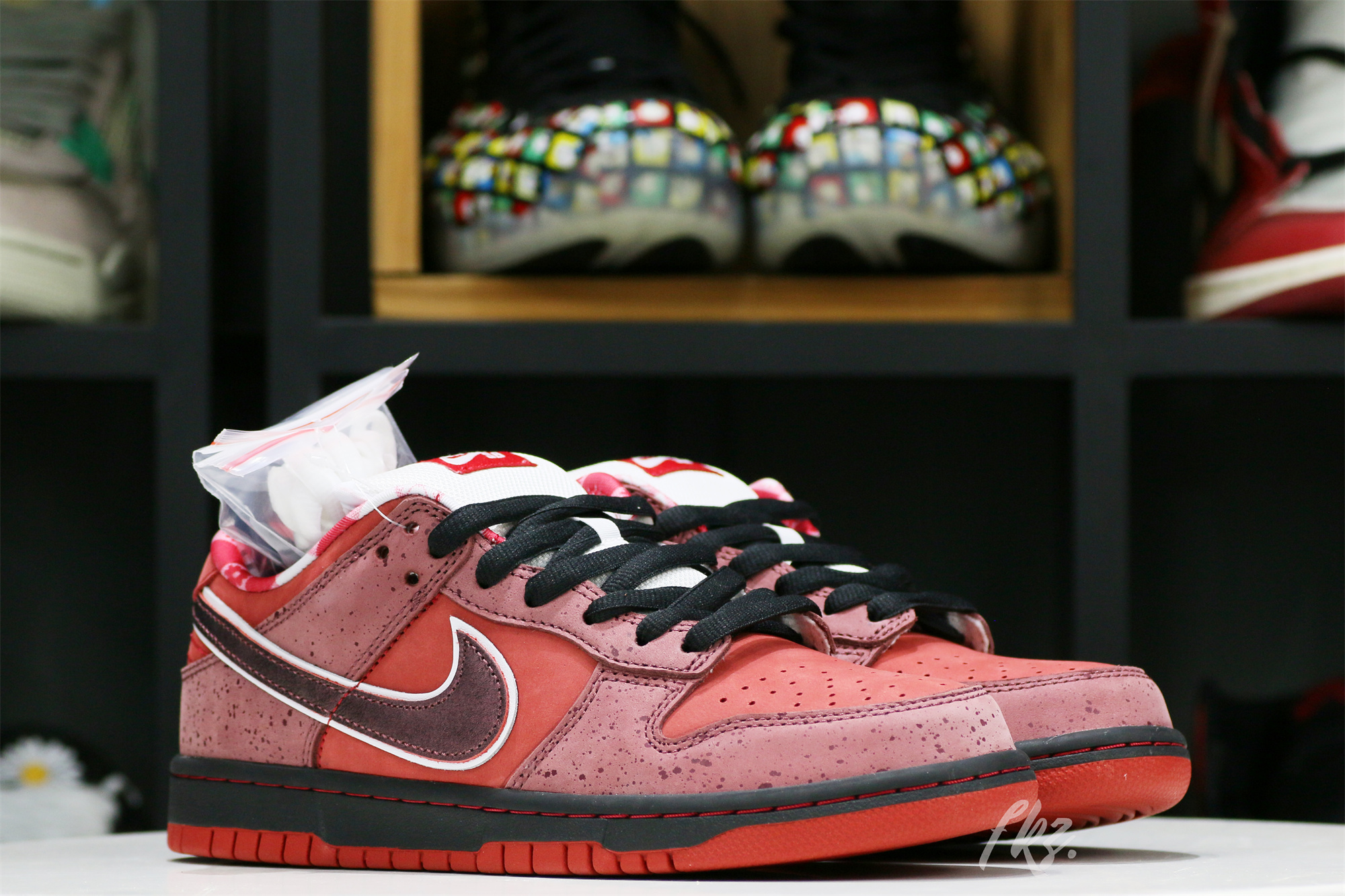 Nike SB Dunk Low Concepts Red Lobster