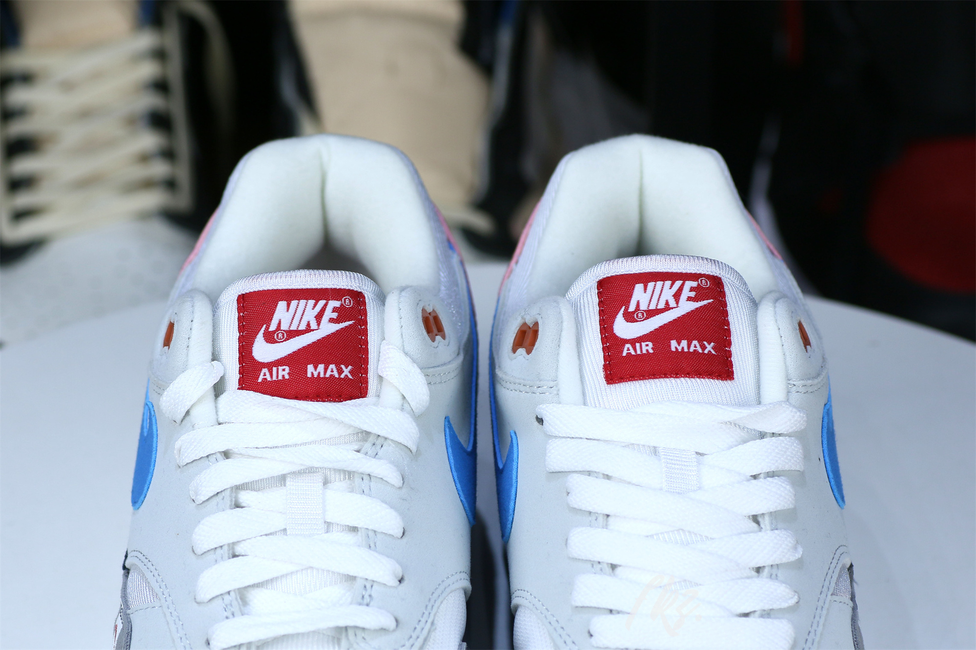 Parra X Nike Air Max 1 2018