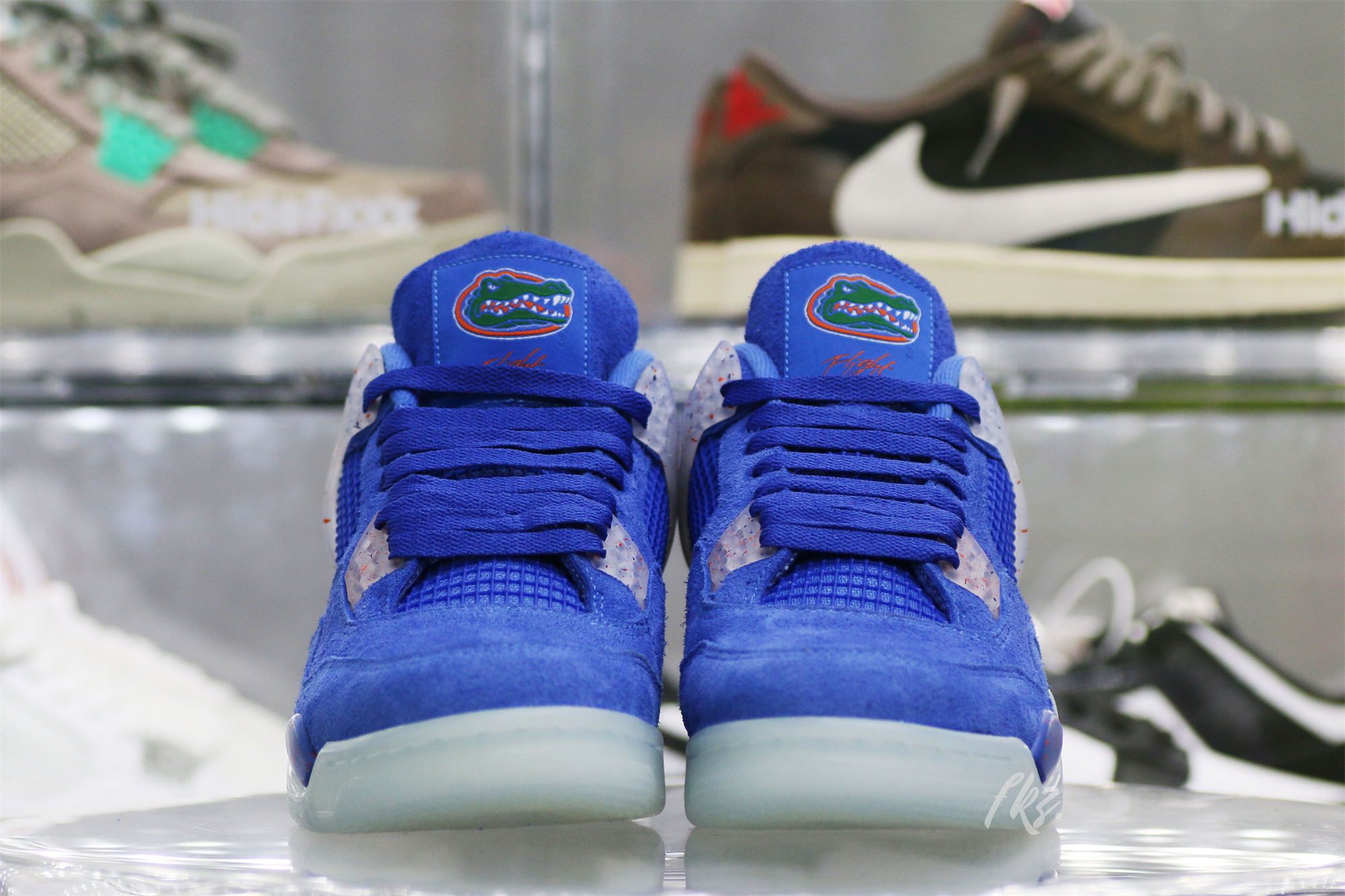 Air Jordan 4 Florida Gators PE