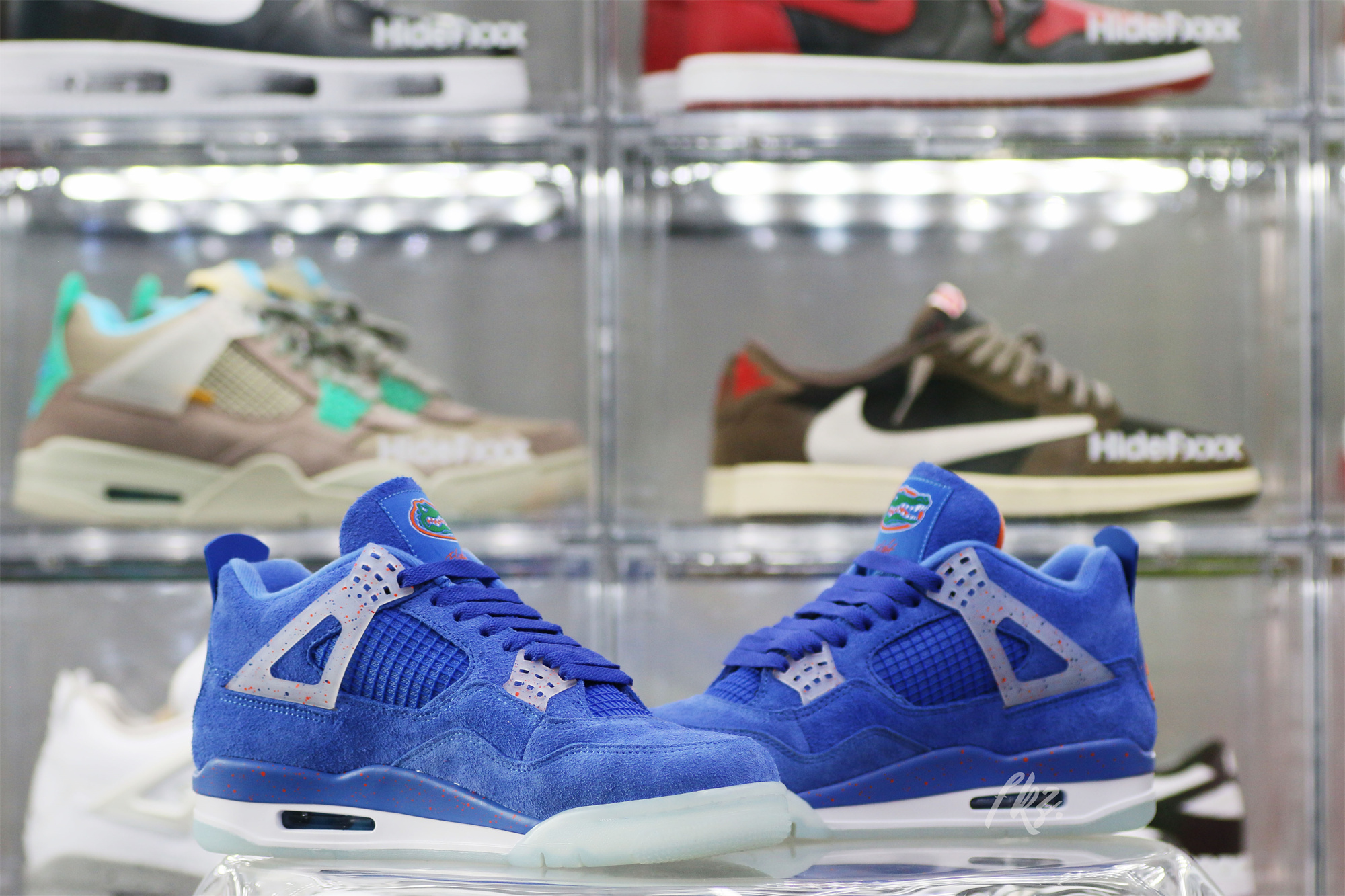 Air Jordan 4 Florida Gators PE