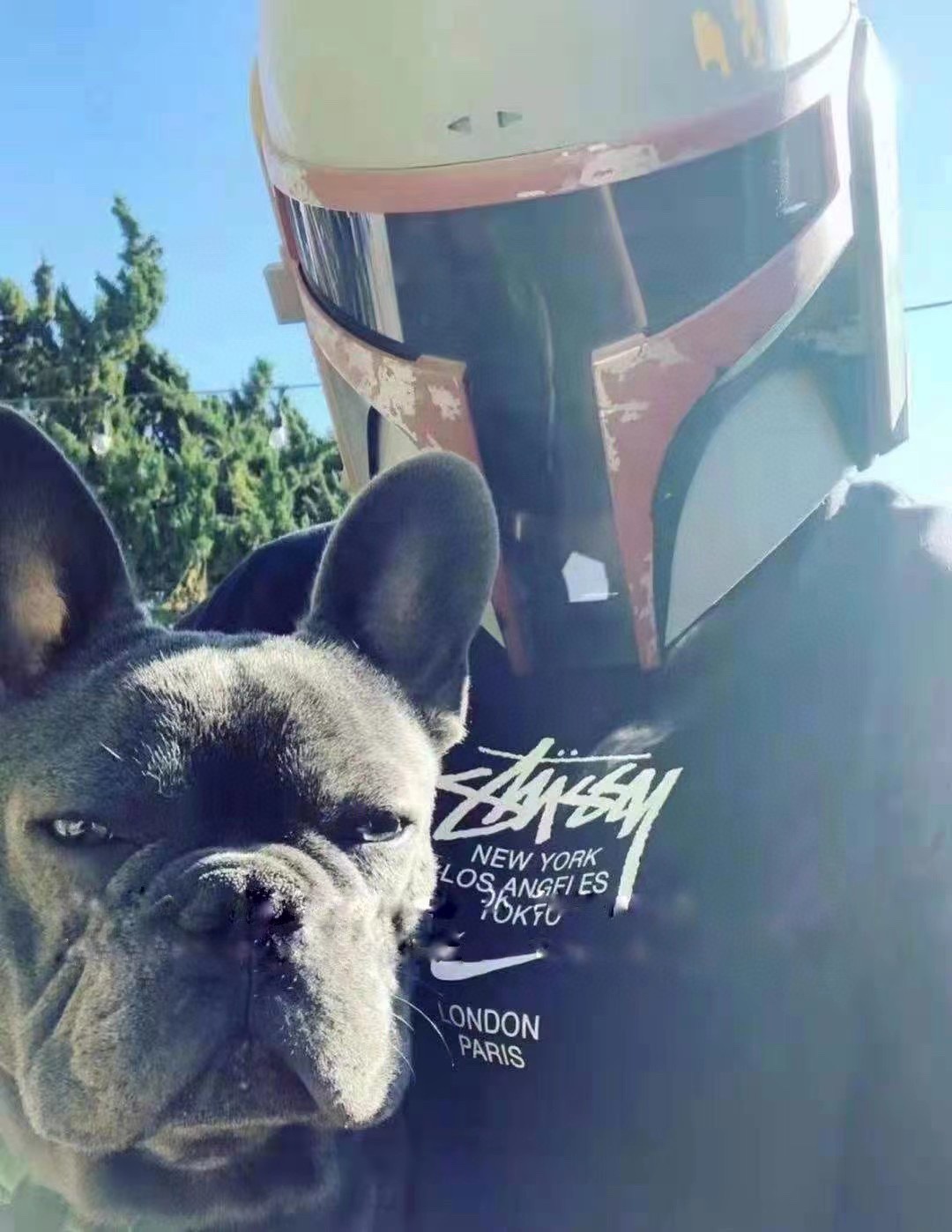 Nike & stussy short sleeve