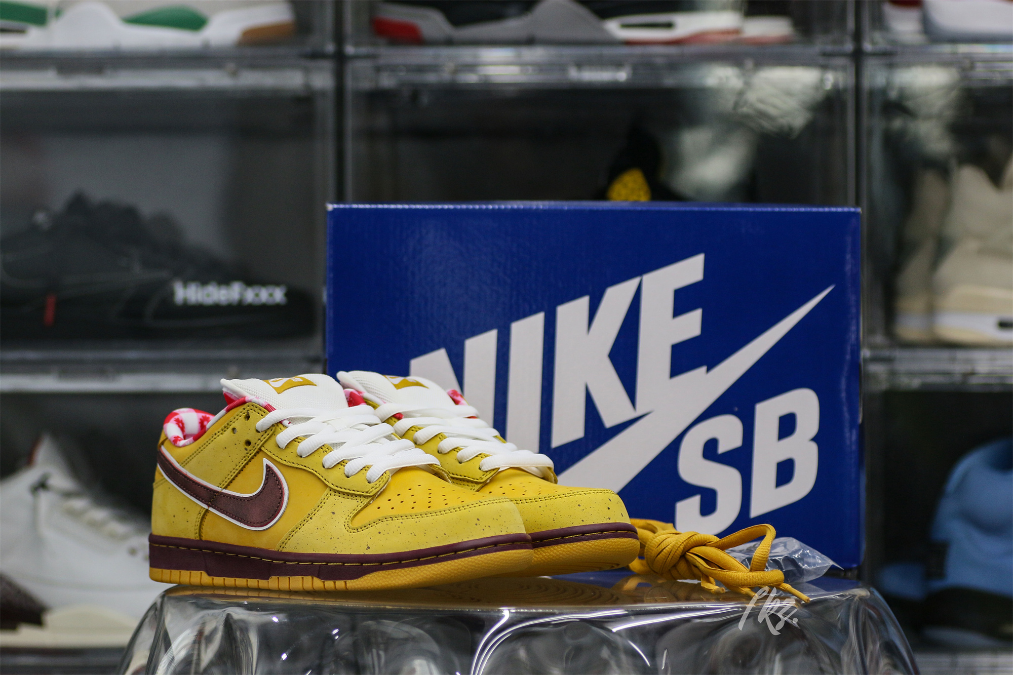 Nike SB Dunk Low Yellow Lobster