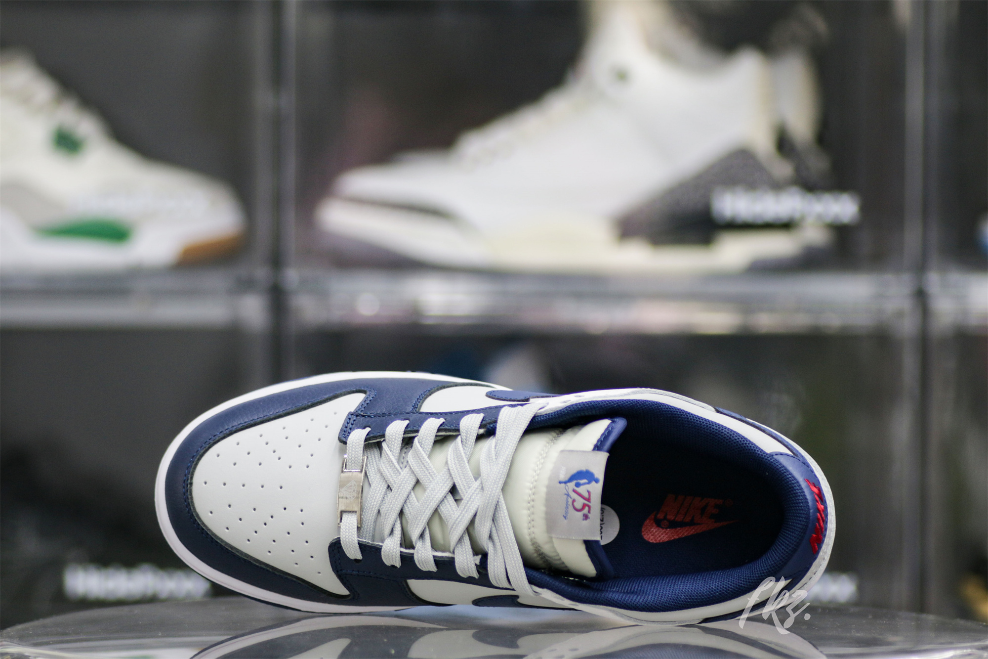 Nike Dunk Low EMB NBA 75th Anniversary Brooklyn Nets